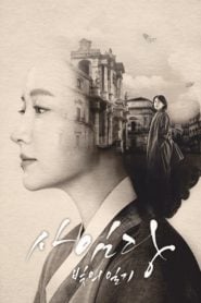 Saimdang Light’s Diary